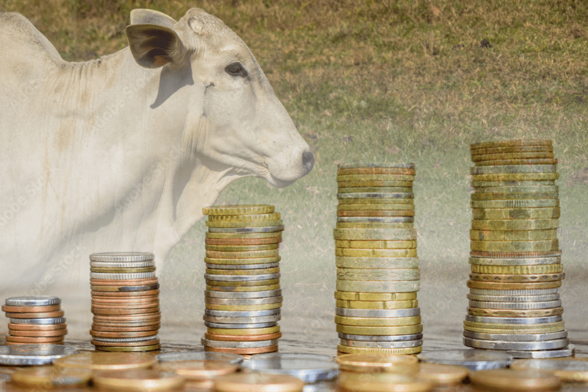 VGIA11: Conheça o Fiagro CRA Valora que investe em recebíveis do agronegócio - imagem destacada