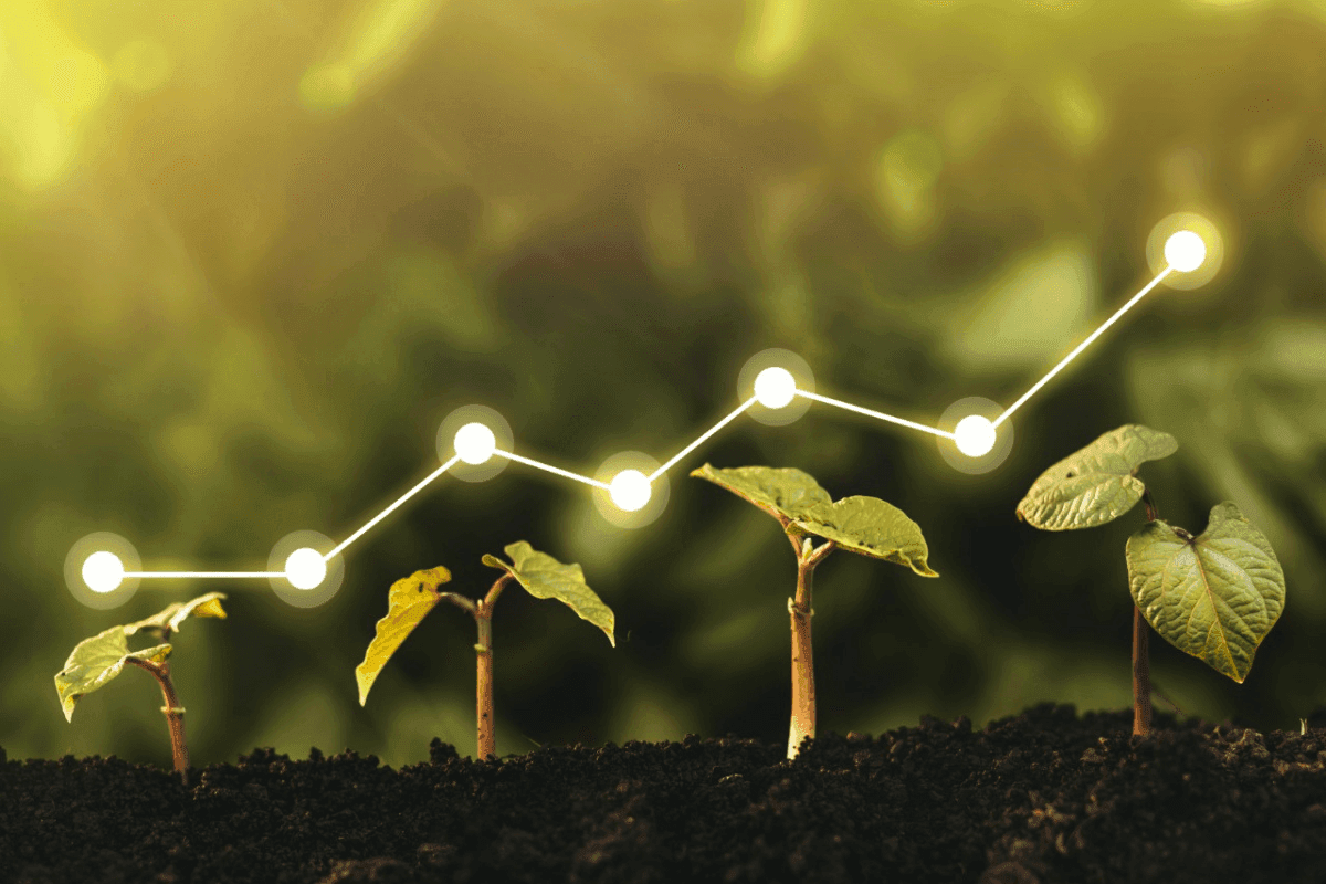 EQIA11: Conheça o Fiagro NCH EQI que investe em letras e recebíveis do Agro - imagem destacada