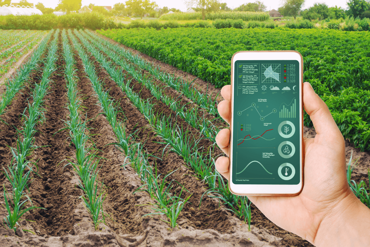 FGAA11 – Conheça o fundo do agronegócio FG Agro Fiagro listado na Bolsa - imagem destacada