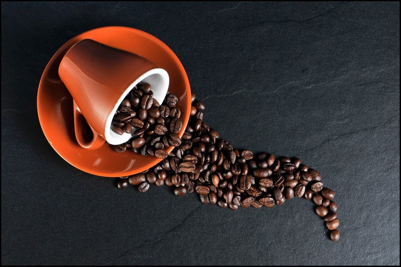 Contrato futuro de café conilon é negociado na B3 - imagem destacada
