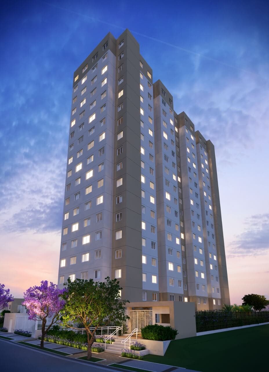 PLPL3 – Dividendos da Plano &amp; Plano - imagem destacada