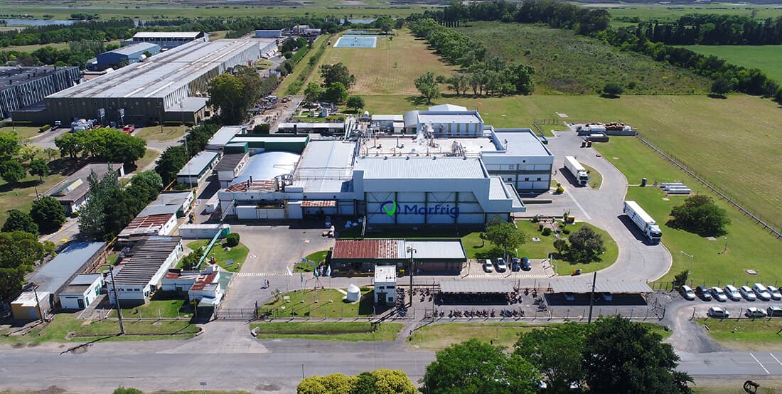 MRFG3 – Dividendos da Marfrig - imagem destacada