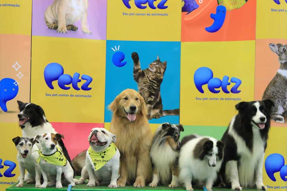 PETZ3: Data com dividendos da Petz - imagem destacada