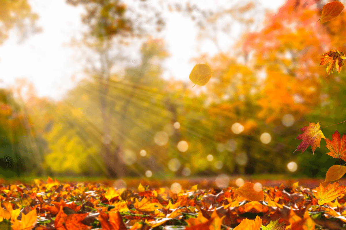 IPOs: Maioria das ações lançadas em 2021 registram perdas